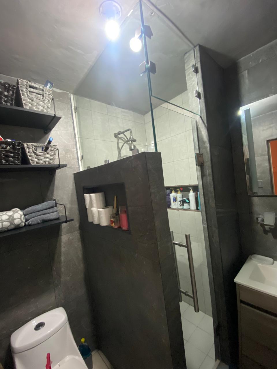 Compact pivot glass shower door with stainless handle by FerMac